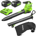 Greenworks BL48L421-01 Laubbläser, 45 L, 48 V, 24 V, bürstenlos, mit USB, kabellos, Grün/Schwarz
