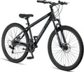 E-Bike Thunder Premium, 29 Zoll, Schwarz, Licorne Bike