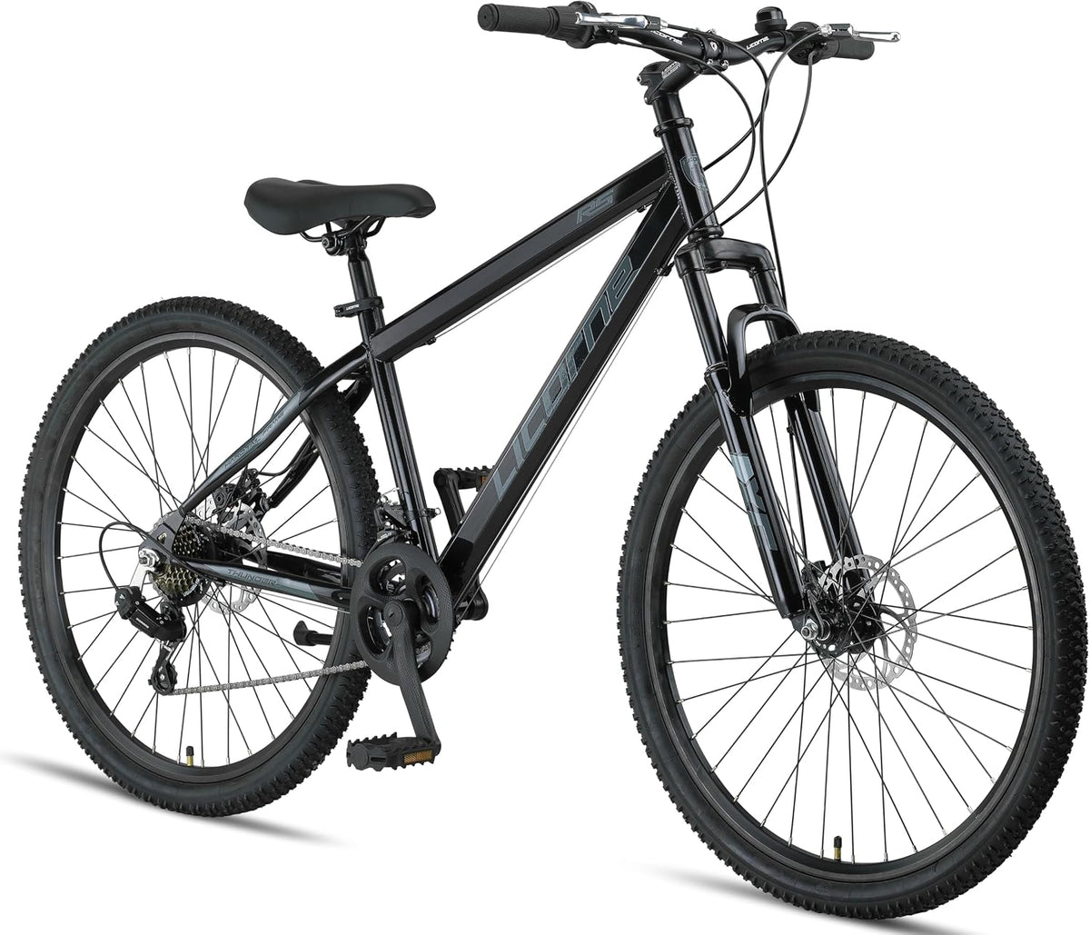 E-Bike Thunder Premium, 29 Zoll, Schwarz, Licorne Bike